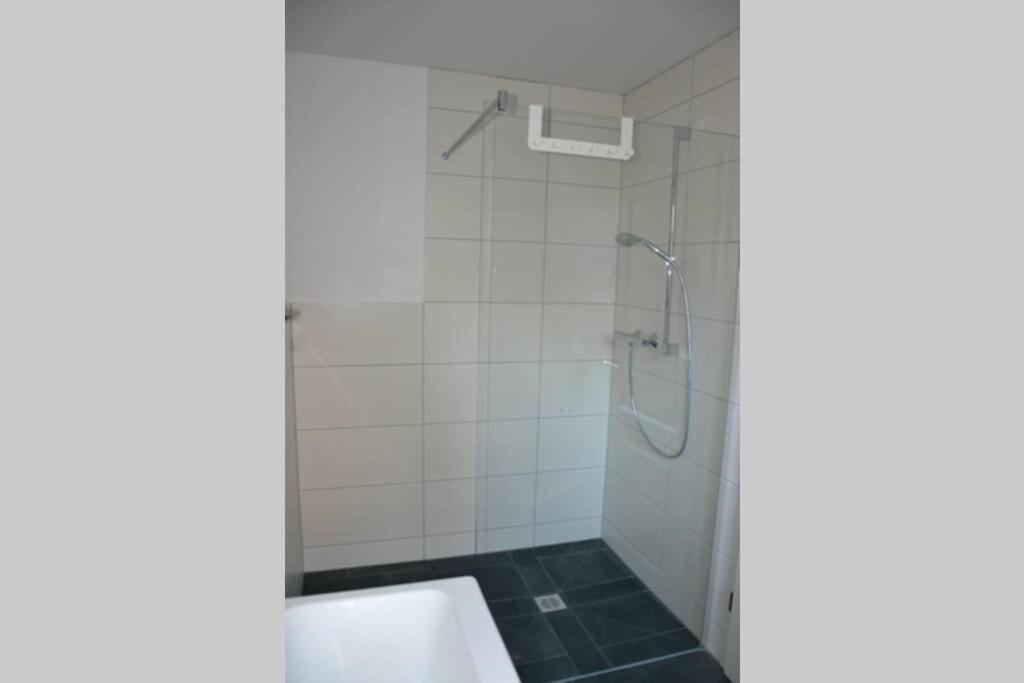 Boger Apartment *